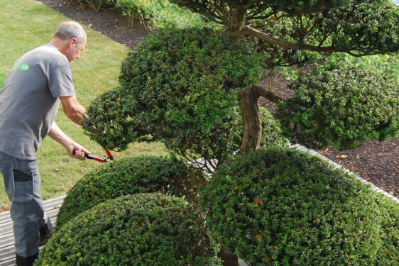 Entretien espaces verts
