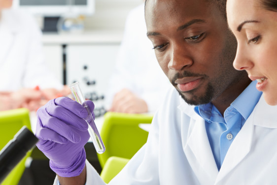 Exploitation_Expert Santé