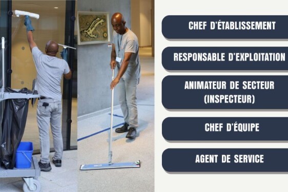 Animateur de secteur